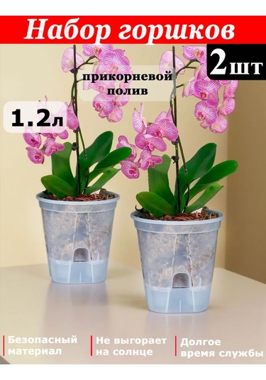 Saburg Tabandan Sulamalı Orkide Saksısı 2 Ad 368352992