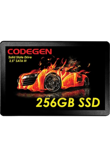 Codegen CDG-256GB-SSD25 2.5" 256 GB SATA 3 SSD