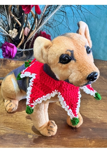 El Örgüsü Noeltasma Kedi Tasma Köpek Tasma Bağlamalı