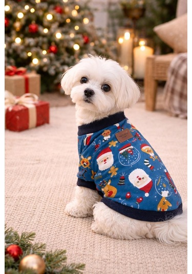 Alphadog Colored Santa Küçük Irk Köpek Sweatshirtü