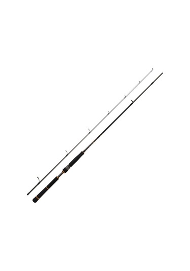 Daiwa New Bg Seabass 250 CM 10-35 Gr 2 Parça Spin Olta Kamışı