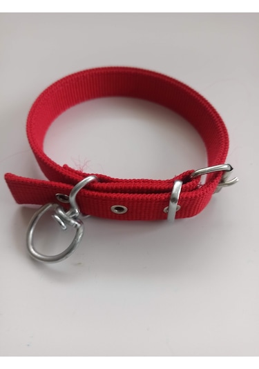 Kozaklı Küçük Irk Köpek Tasması Kırmızı 50 x 2.5 CM Kırmızı