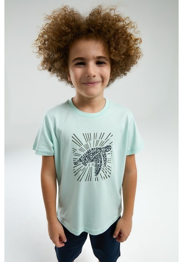 Arnetta Erkek Çocuk Yeşil Bermuda Takım Ar3312-c-v2 Yeşil