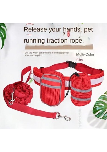 Soulader Köpek Eğitim Seti, Spor Çantası, Yürüyüş Kemeri, Su Kabı, Ödül Çantası Ve Çekiş Oyun İpi Dahil Dört Parçalı Aktivite Paketi