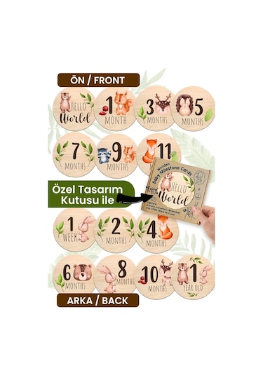 Aylık Bebek Kartları Ingilizce Milestone Cards Bebek Hediyelik Anı Kartı Ay Kartları