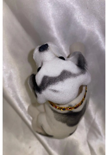 Golden Retriever Kafa Sallayan Köpek Başını Sallayan Köpek Sallanan Köpek Beyaz