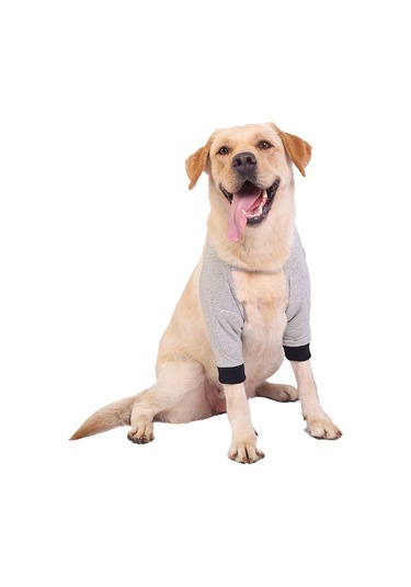 Homyl Köpek Dizlik Bacak Koruyucu Bileklik Köpekler L-gri