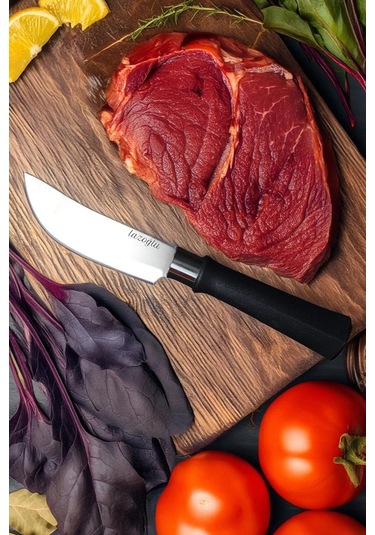 Lazoğlu Plastik Abs Yüzme Bıçağı Siyah