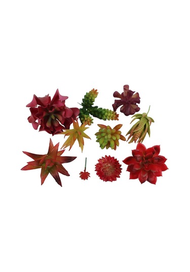 Xiyyadms Dıy Yapılandırılabilir Simülasyon Sukulent Bitki Seti - Bakım Gerektirmeyen Ev Dekorasyonu Duvar Yeşilliği