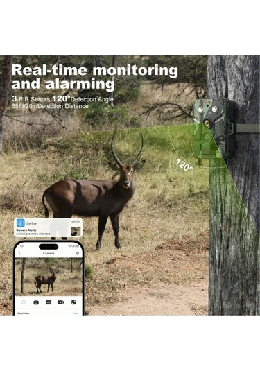 Dancemonkey Yaban Hayatı İz Kamerası 32mp 1080p Kızılötesi Ip66 Su Geçirmez Avcılık Kamera Çok Renkli