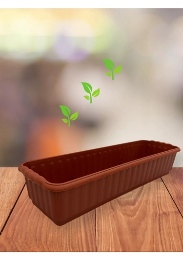 Prohoz Fide Ve Çiçekler İçin Tepsi 207487157