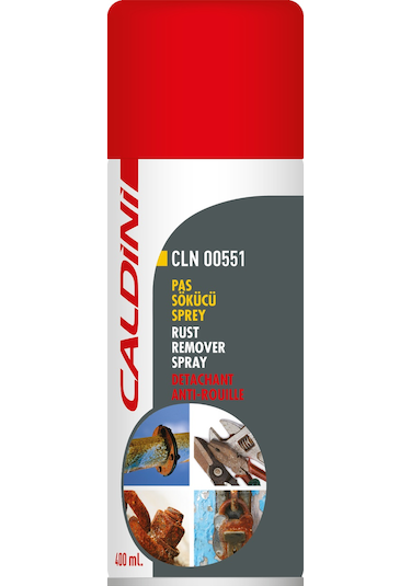 Caldini Pas Sökücü Sprey 400 ML.