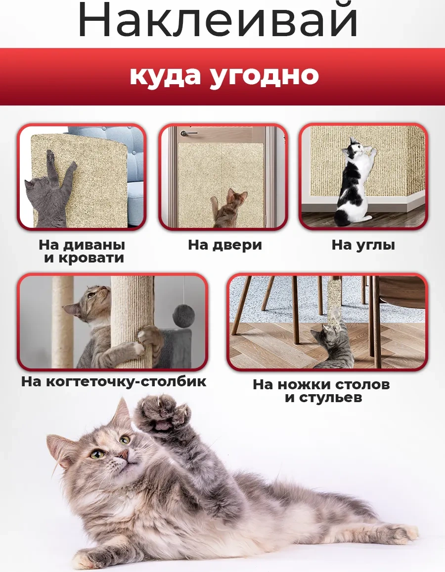 Conflate Kedi Tırmalama Tahtası Kendinden Yapışkanlı 307364958