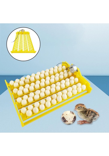 Suntek Bıldırcın Için Ev Yumurta Kuluçka Tepsi Brooder