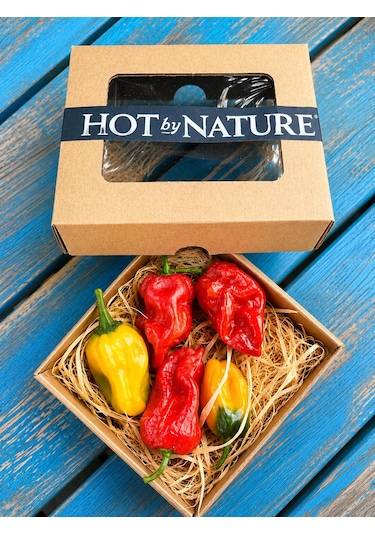 Yellow Habanero / 350.000 Scoville - Gerçek Taze Acı Biber