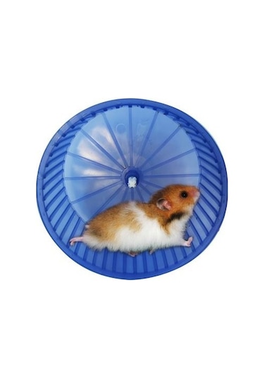 Hamster Çarkı Büyük Karışık Renk