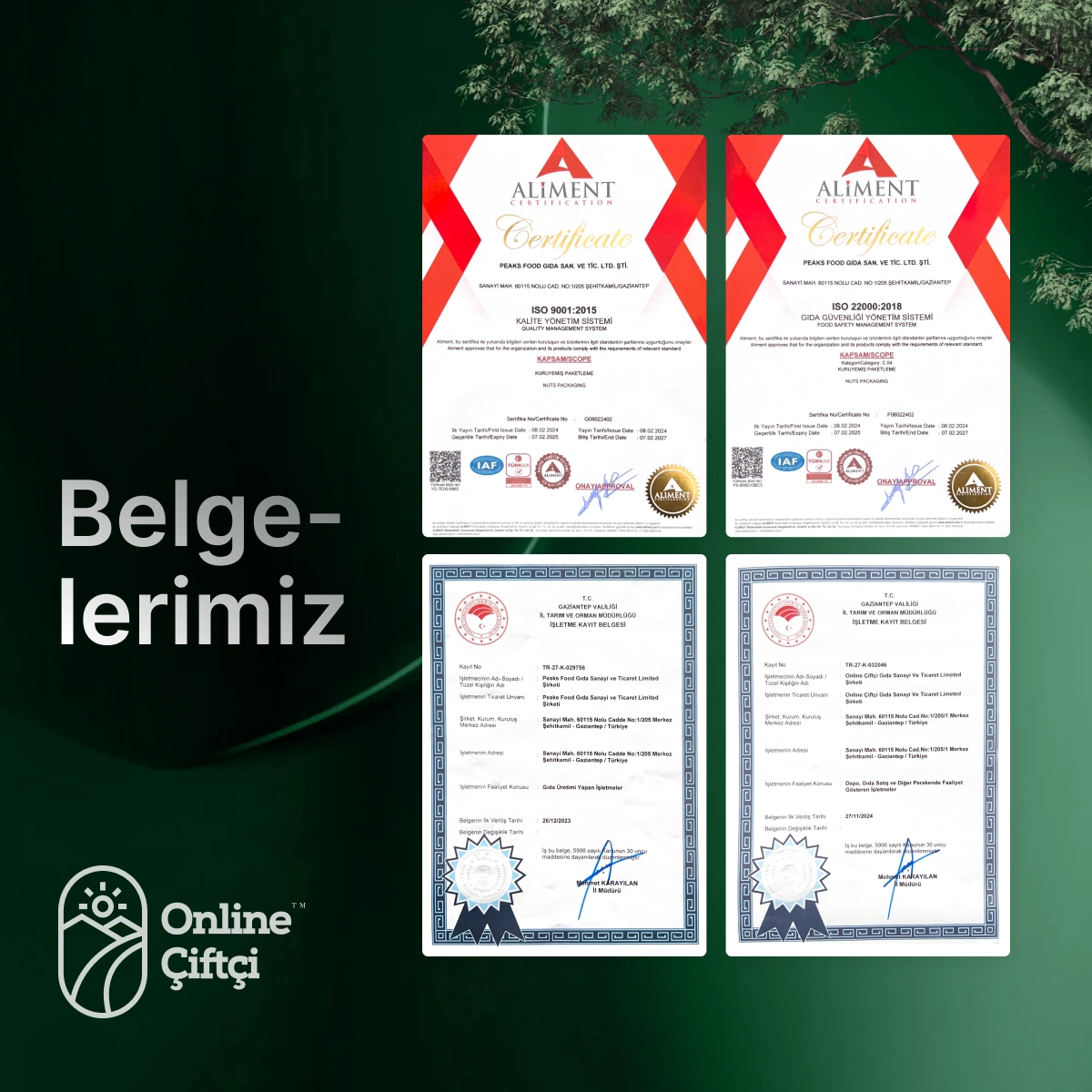 Online Çiftçi Chia ve Keten Tohumu 2 x 100 G