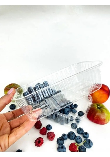 Tpt Kapaksız Tek Kullanımlık Plastik Kaplar 10 Adet 171604887 100 adet