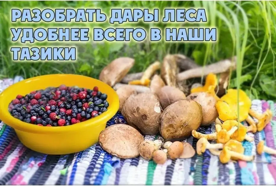 Lpm Leğen - Kase Özellikle Dayanıklı 5 Parçalık Set. 99767901