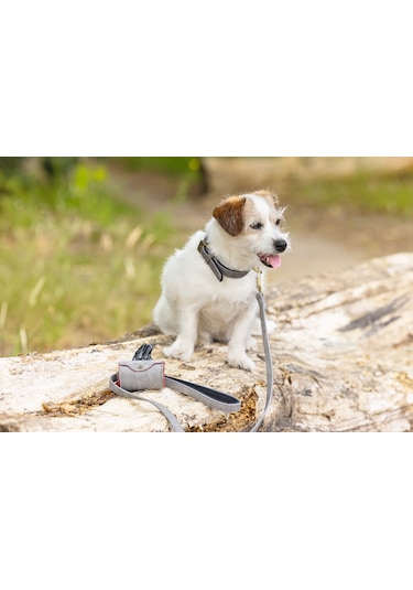 Beeztees Köpek Dışkı Toplama Poşeti Taşıma Çantası, Gri, 8x5x5cm