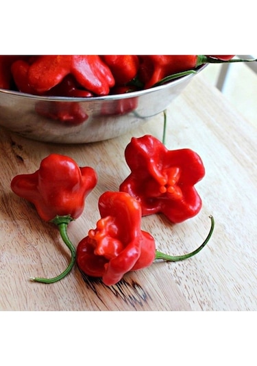 Süper Paket Acı Süs Gül Biberi Tohumu Gül Biber Tohumu 85 Adet Tohum + Sürpriz Hediye Tohum