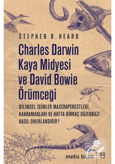 Mercankitap Charles Darwin Kaya Midyesi ve David Bowie Örümceği / Stephen ...