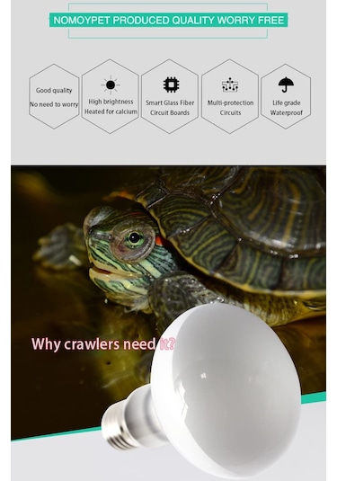 Lichen Sürüngen Isıtma Lambası, 50w E27 Uva Isıtma Lambası