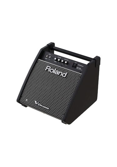 Roland Pm-100 Davul Monitörü