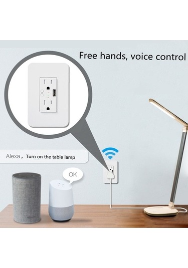 Pazly Akıllı Duvar Prizi 120v Wifi Uzaktan Kumanda, Sesle Kontrol, Usb Soket, Amerikan Modeli