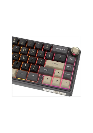 Royal Kludge R65 RKR65-PT-XH 65% Kablolu Us Gaming Klavye