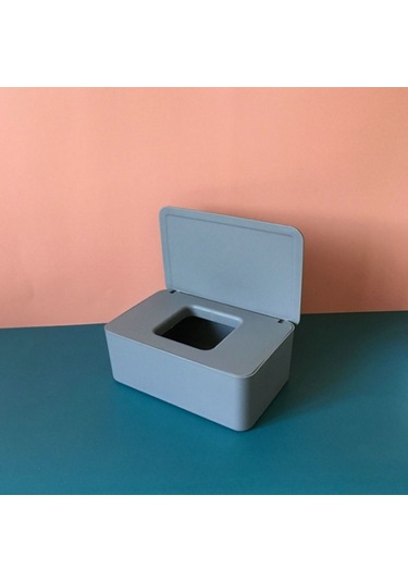 Tek Kullanımlık Maske Saklama Kutusu Toz Geçirmez Kapaklı Gri Gri