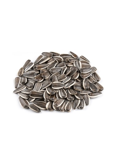 Gaziantep Pazarı Dakota Çekirdeği 500 G