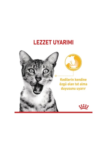Sensory Tat Duyusu İçin Sos İçerisinde Yaş Kedi Maması 12 X 85g