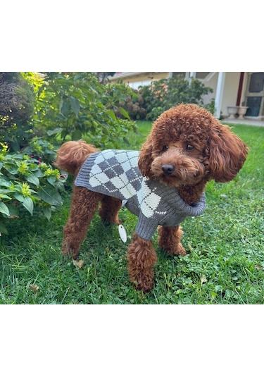 Miniş Gri Baklavalı Küçük Köpek Kazağı