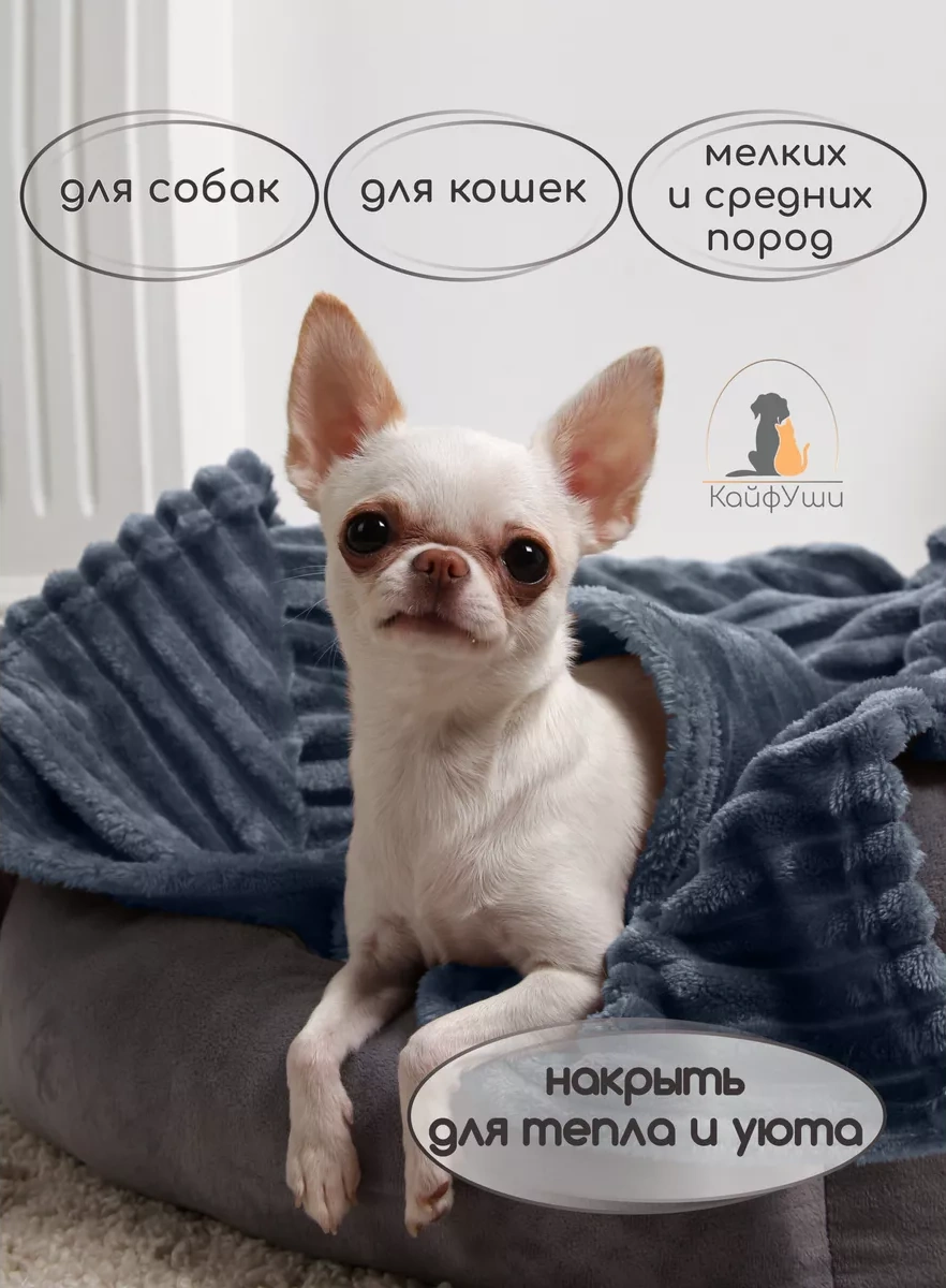 Kajfusi Köpekler, Kediler Ve Diğer Hayvanlar İçin Battaniye 241583496