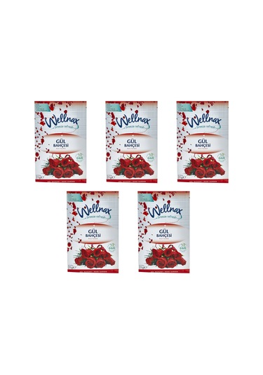 Wellnax Dolap ve Çekmece Kokusu Gül Bahçesi Koku Kesesi 5 x 21 G