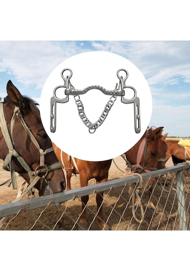 Homyl At Dizgini Dış Mekan Ekipmanları Için Eğitim Yanak Gümüş