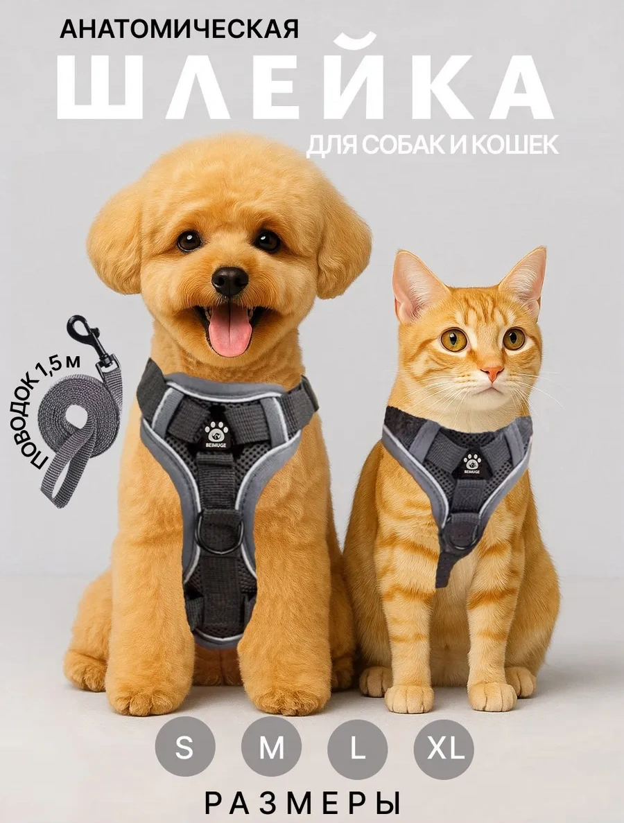 Tori Küçük Ve Orta Irklar İçin Tasmalı Köpek Kayışı Ve Kedi Şeridi 417711600