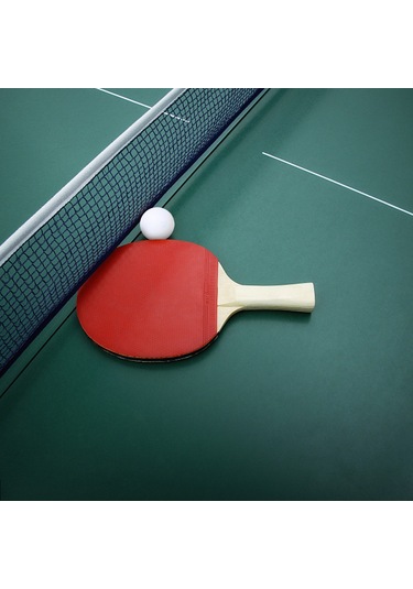 Ranyeek 12 Adet 40mm Abs Tenis Topu, İyi Zıplama, Spor Salonu & Eğitim İçin, Çok Renkli Sarı, Pembe, Mavi, Yeşil