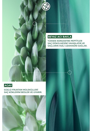 Yves Rocher Saç Dökülmesine Karşı Güçlendirici Prebiyotik Vegan Şampuan 300 ML