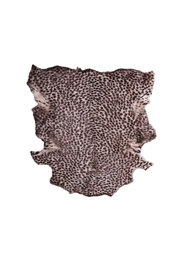Naturel Leopar: Hakiki Hayvan Derisi Aksesuarıyla Evinizdeki