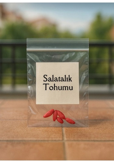 25 Adet Parmak Saksılık Salatalık Tohumu + Saksı + Toprak