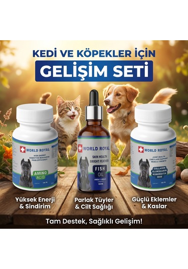 Köpek Collojen Msm Amino Fish Oil