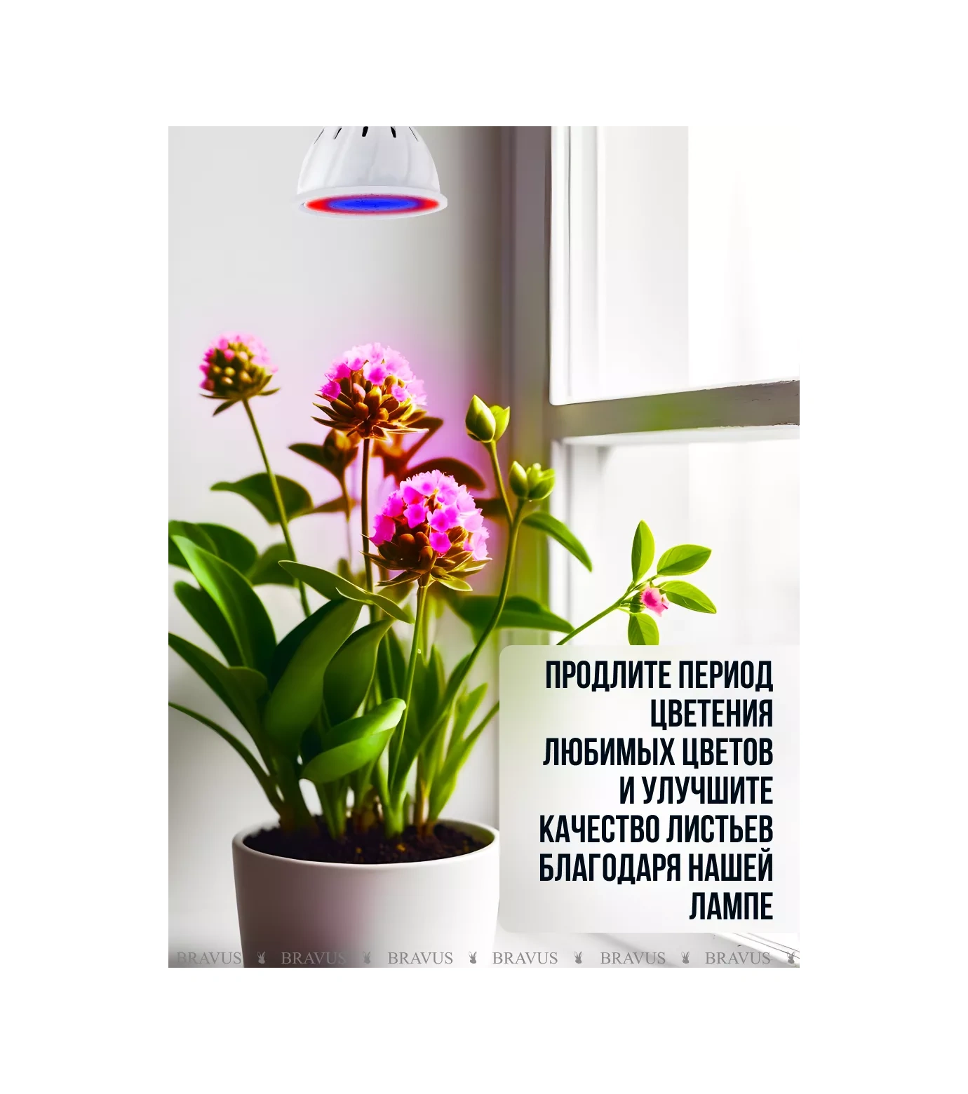 Bravus Fitolift Bitkileri İçin Fideye Uygun Uv Kelepçeli Lamba 196481213 Kırmızı