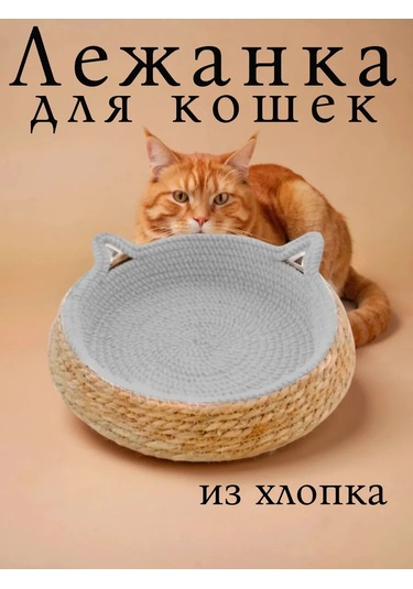 Vektorı Kediler Ve Köpekler İçin Tırmalama Tahtalı Yatak 463888976