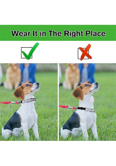 Köpek Prong Yaka, Hızlı Serbest Bırakma Düğmesi Ve Ayarlanabilir Uzunluk İle Köpek Kıskaç Eğitim Yakası