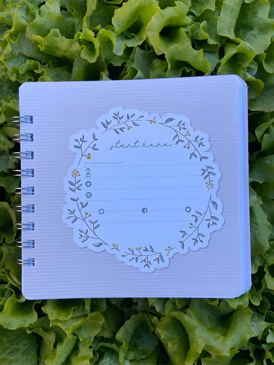 Start 16x16 Sert Kapak Defter Noktalı Pembe