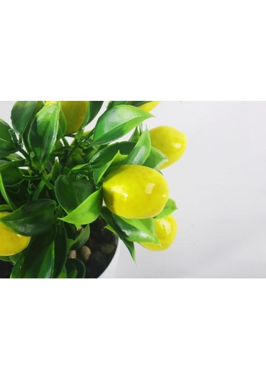 Yapay Çiçek Limon Ağacı Beyaz Saksıda Ve Dekoratif