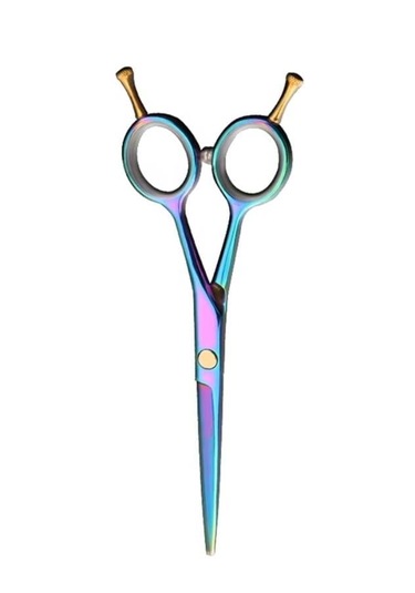 Rainbow Düz Uçlu Çift Vidalı Saç Kesim Makası 5.5 İnç Xlq577