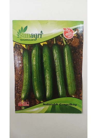 Bykurt Sunagri Çengelköy Salatalık Tohumu - 5 Gr Lezzetli, Bol Verimli